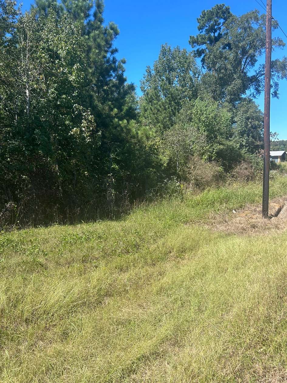 7.33 Acres of Land for Sale in Many, Louisiana