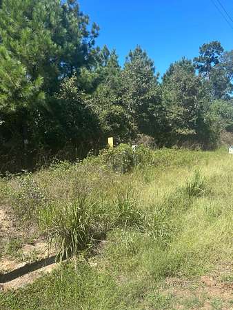 7.33 Acres of Land for Sale in Many, Louisiana