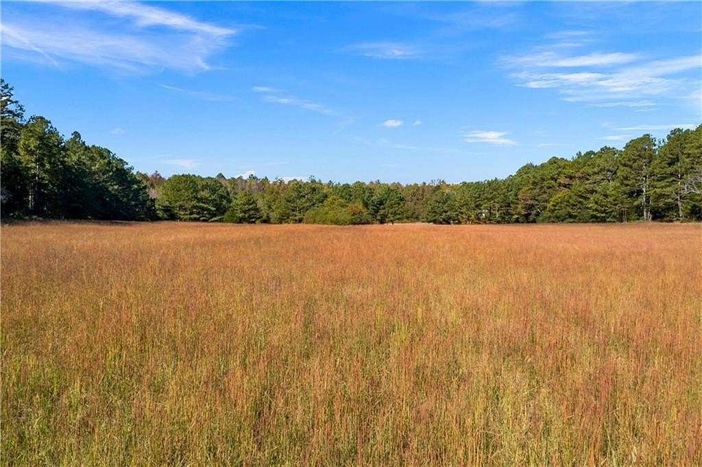 23.4 Acres of Agricultural Land for Sale in Taylorsville, Georgia