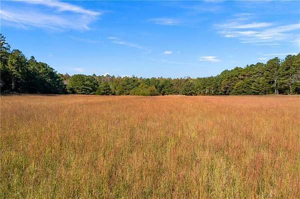 23.4 Acres of Agricultural Land for Sale in Taylorsville, Georgia