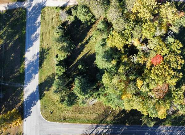 Residential Land for Sale in Lincoln, Michigan