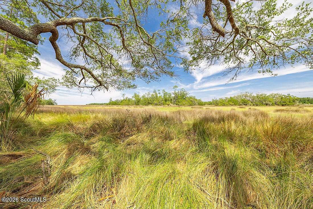 4.55 Acres of Residential Land for Sale in Townsend, Georgia