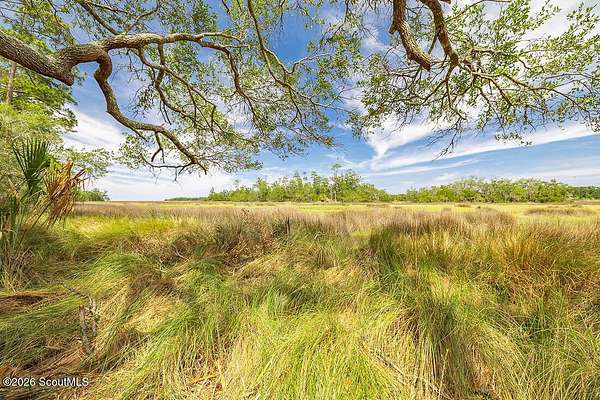 4.55 Acres of Residential Land for Sale in Townsend, Georgia