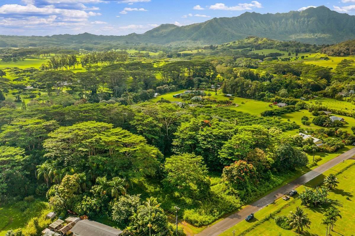 1.43 Acres of Residential Land for Sale in Kilauea, Hawaii