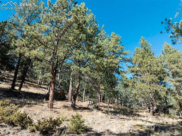2.5 Acres of Land for Sale in Florissant, Colorado
