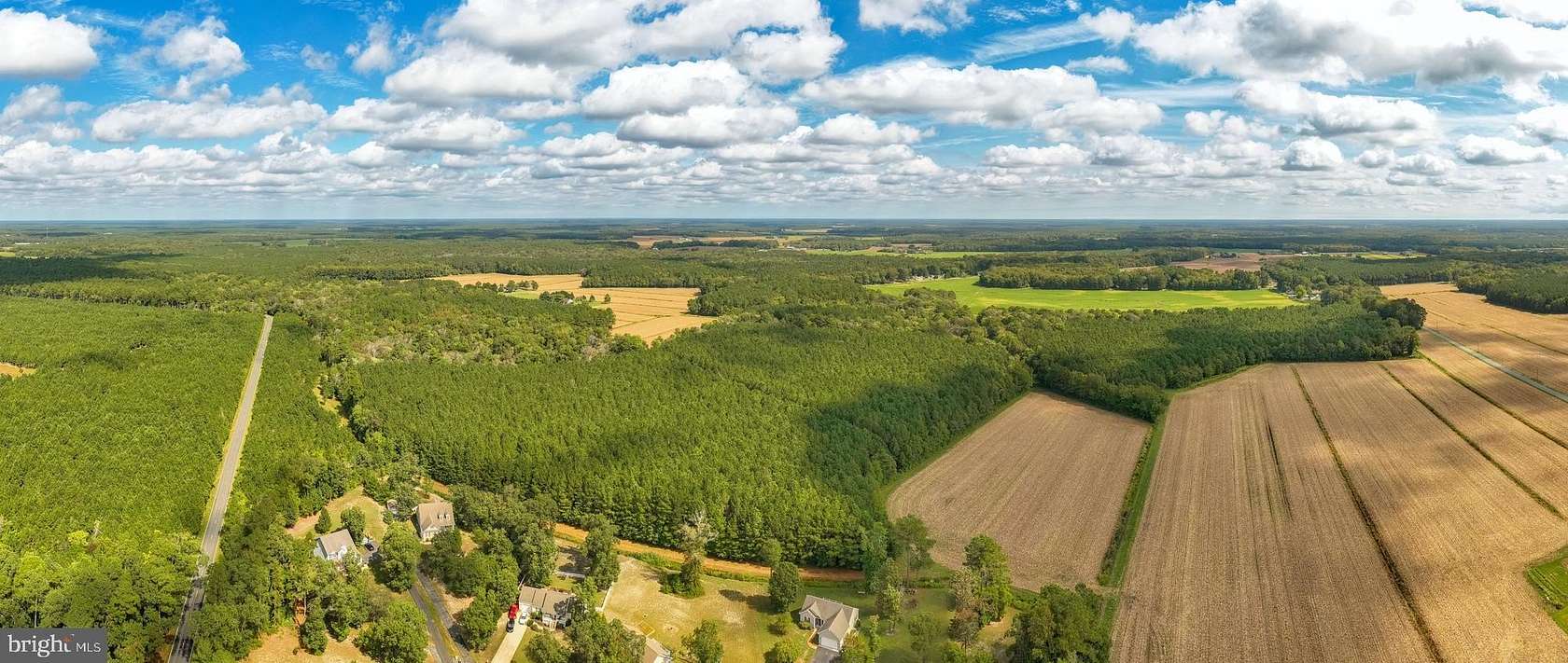 149 Acres of Recreational Land & Farm for Sale in Parsonsburg, Maryland