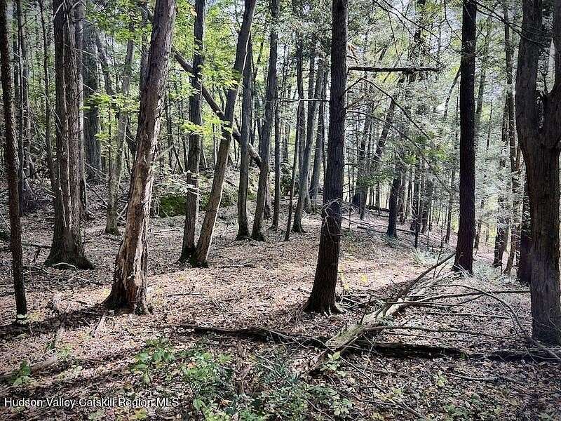 63.2 Acres of Recreational Land for Sale in Kingston, New York