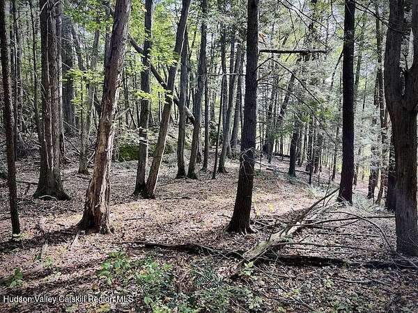 63.2 Acres of Recreational & Residential Land for Sale in Kingston, New York