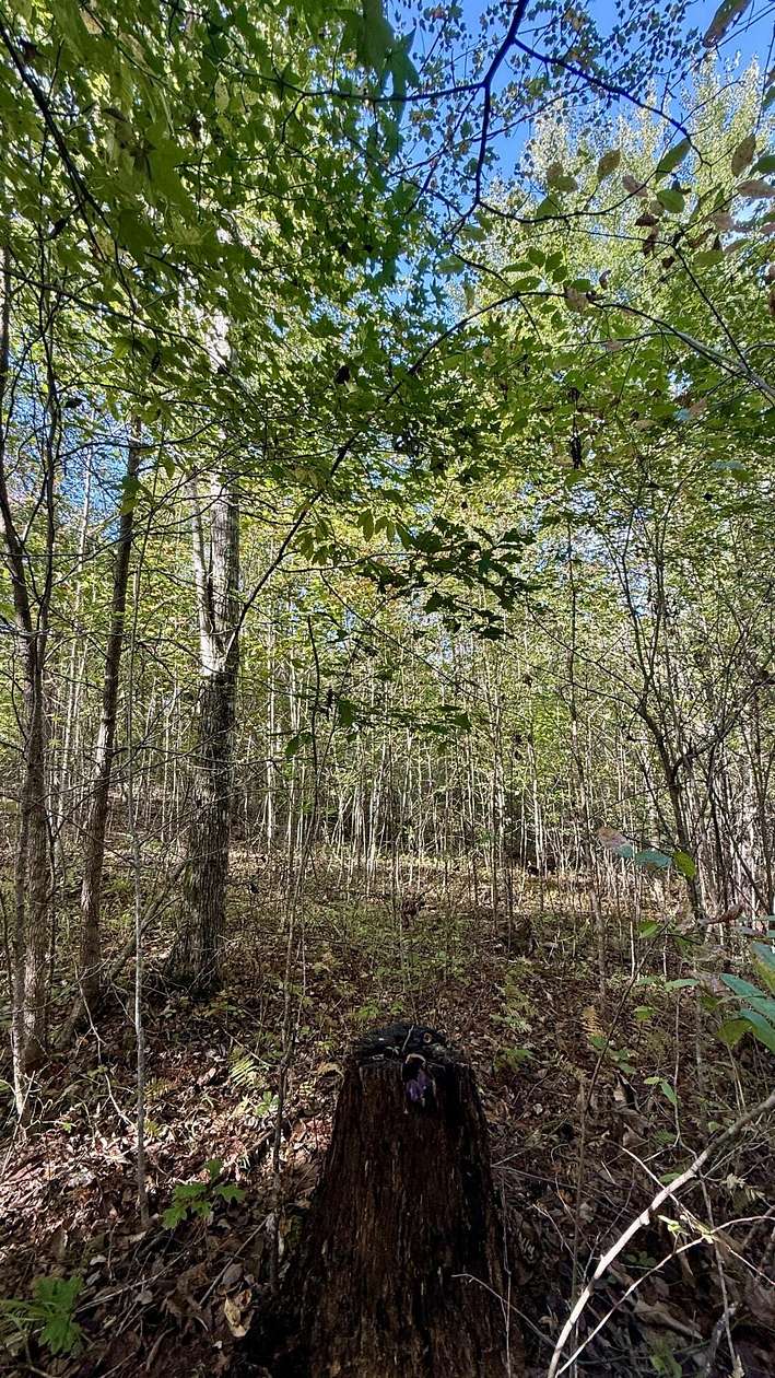 5 Acres of Land for Sale in Palmer, Tennessee