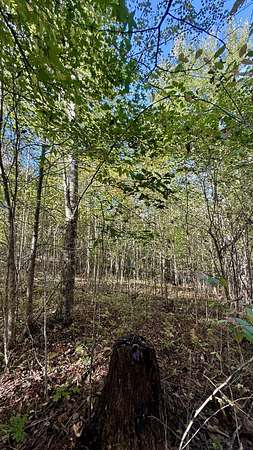 5 Acres of Land for Sale in Palmer, Tennessee