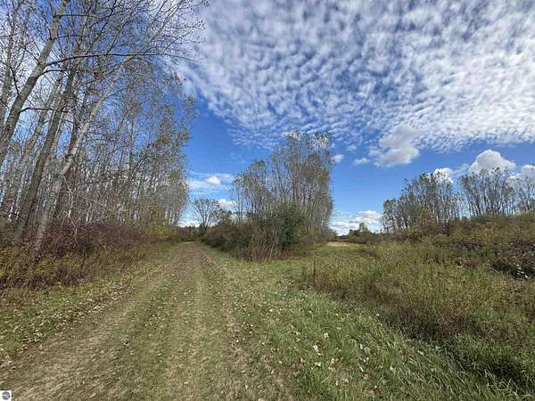 33 Acres of Recreational Land for Sale in St. Louis, Michigan