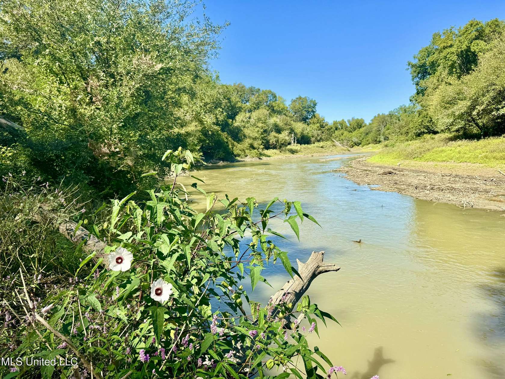 80.7 Acres of Recreational Land for Sale in Rolling Fork, Mississippi