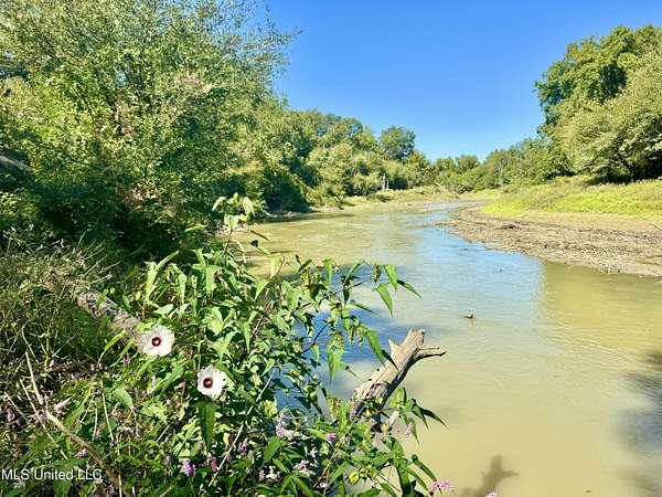 80.7 Acres of Recreational Land for Sale in Rolling Fork, Mississippi