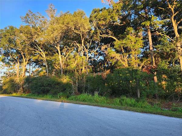0.23 Acres of Residential Land for Sale in Ocala, Florida
