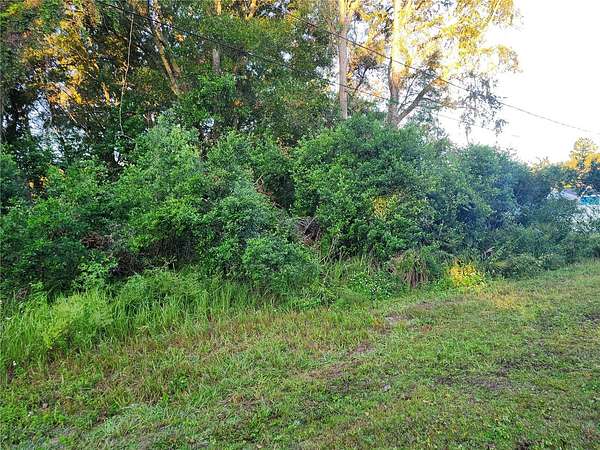 0.23 Acres of Residential Land for Sale in Ocala, Florida