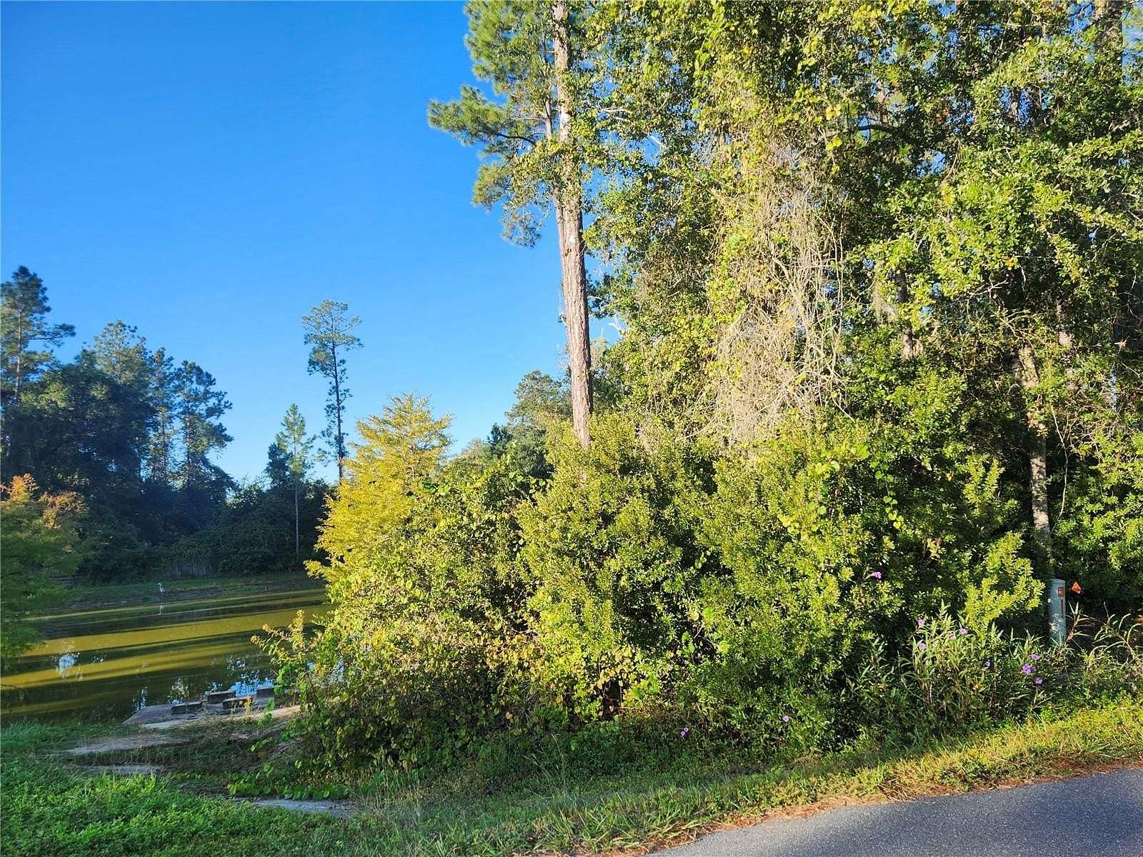 0.23 Acres of Residential Land for Sale in Ocala, Florida