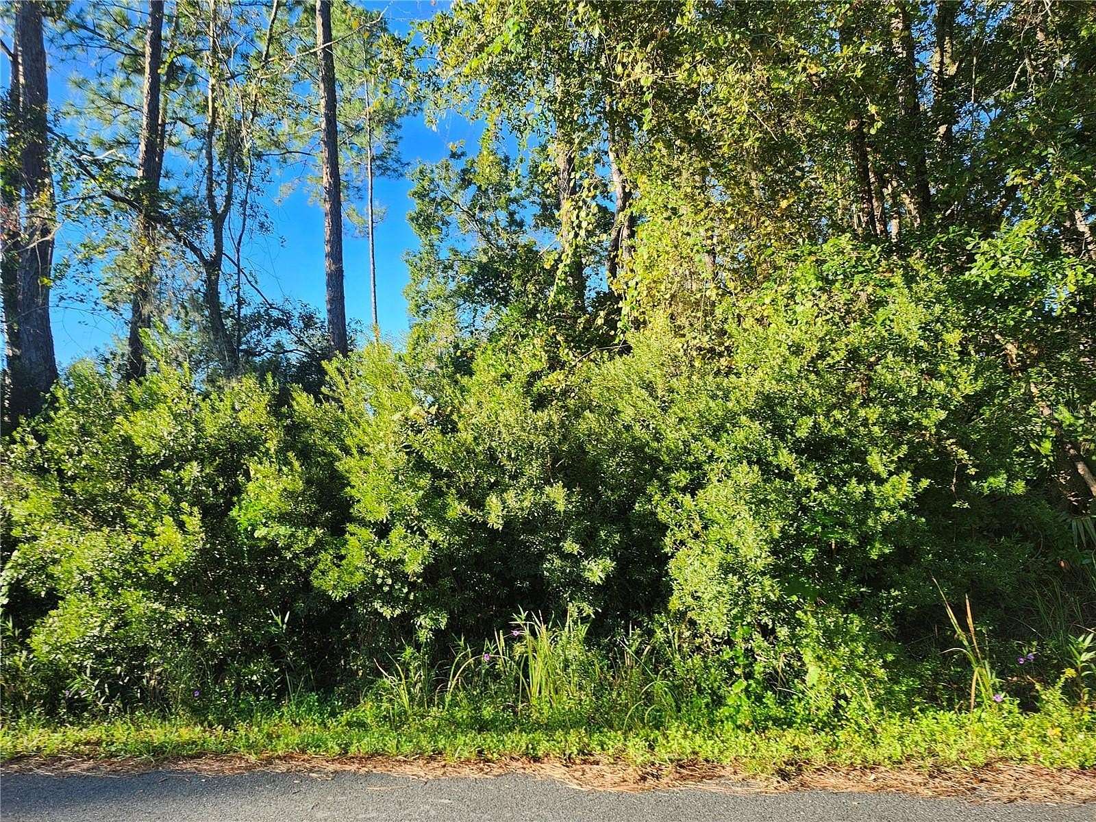 0.23 Acres of Residential Land for Sale in Ocala, Florida