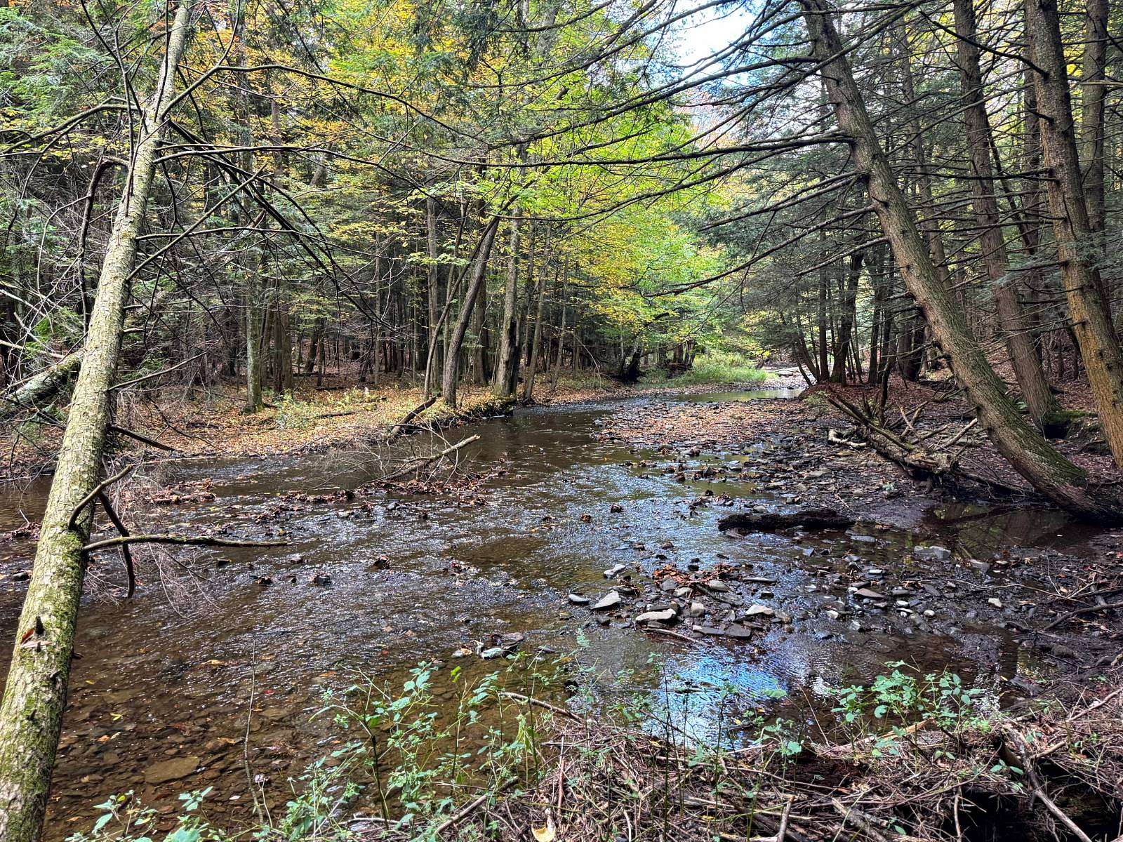 24 Acres of Recreational Land for Sale in Orwell, New York