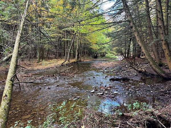 24 Acres of Recreational Land for Sale in Orwell, New York