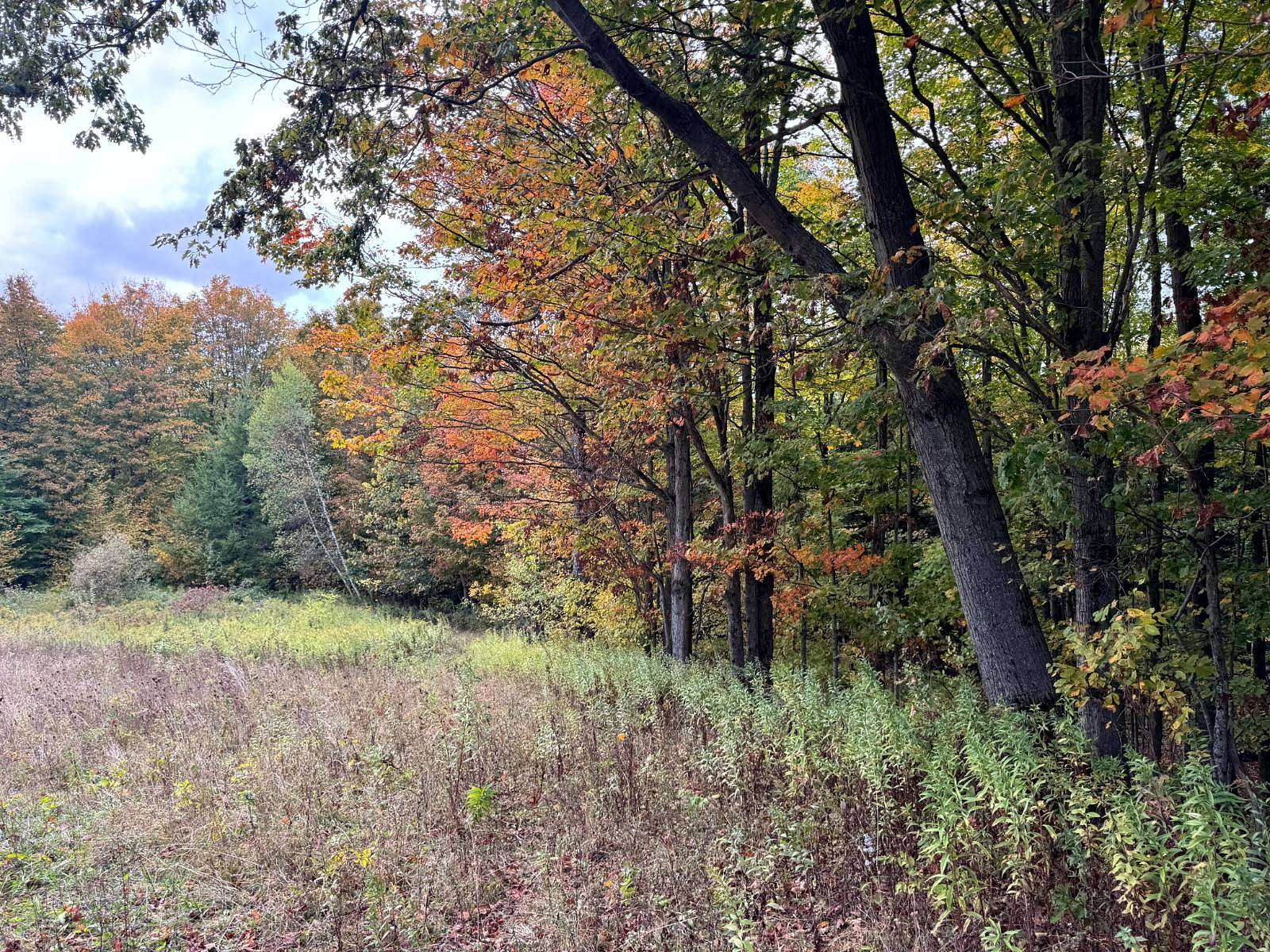 6 Acres of Residential Land for Sale in Orwell, New York