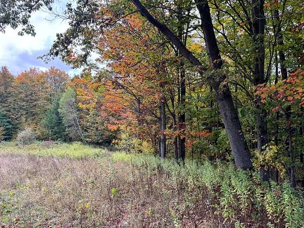 6 Acres of Residential Land for Sale in Orwell, New York