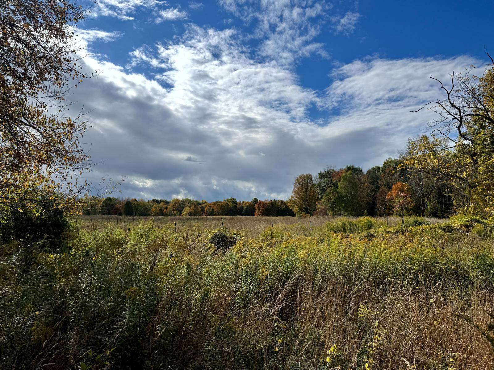 10 Acres of Recreational Land for Sale in Orwell, New York
