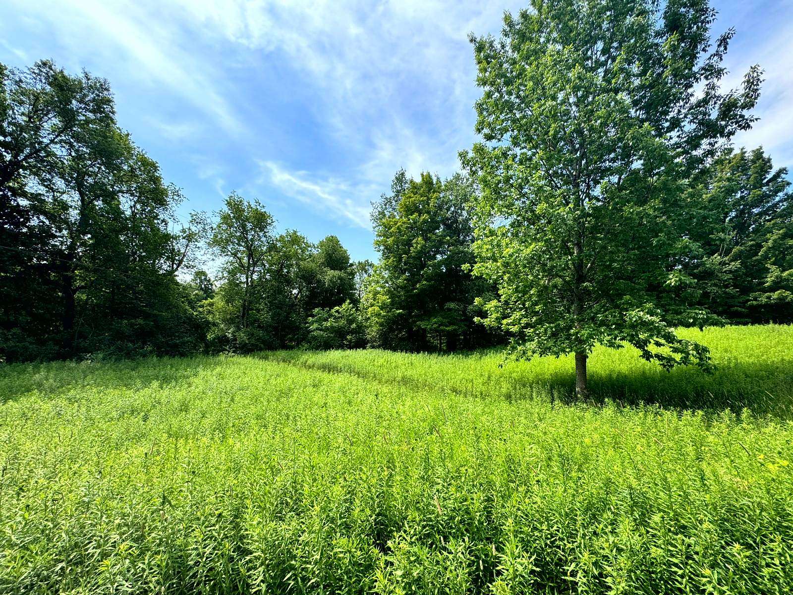 10 Acres of Residential Land for Sale in Orwell, New York
