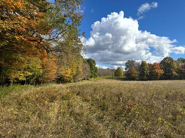 10 Acres of Recreational Land for Sale in Orwell, New York