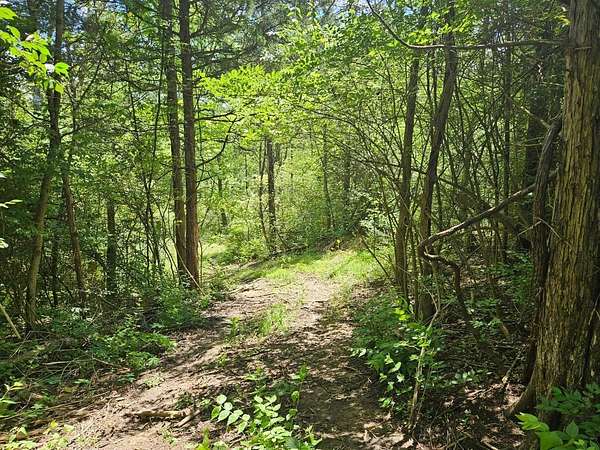 20.3 Acres of Recreational Land for Sale in Aurora, Indiana