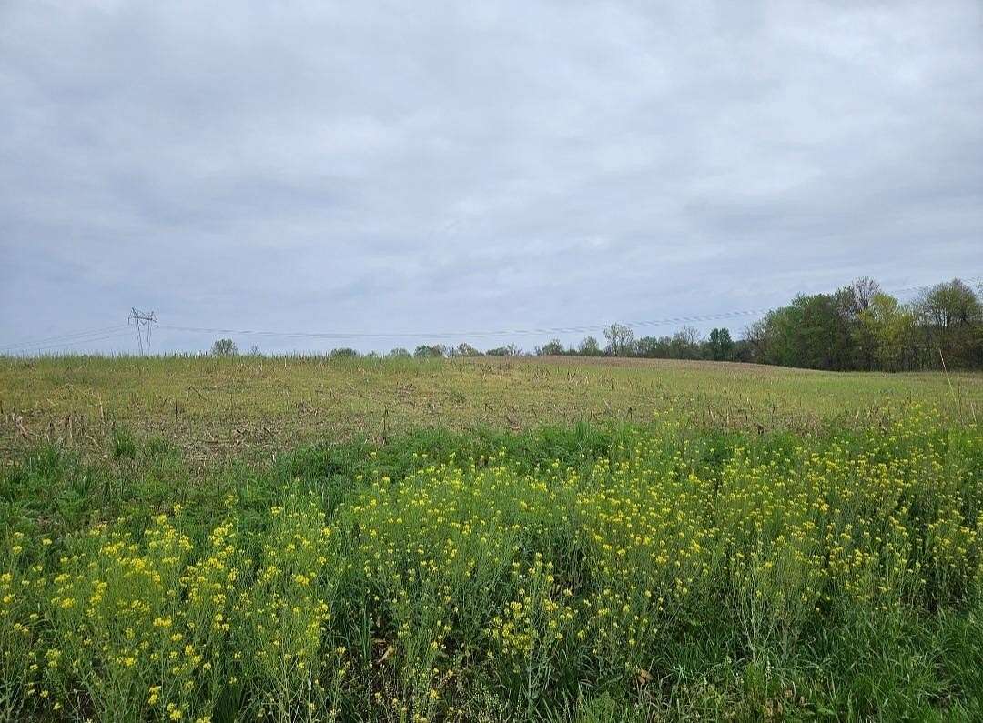 10 Acres of Residential Land for Sale in Batesville, Indiana