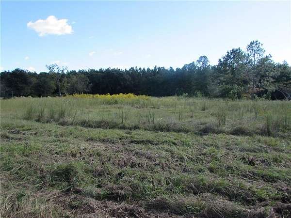 4 Acres of Residential Land for Sale in Patterson, Georgia