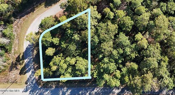 0.35 Acres of Residential Land for Sale in Boiling Spring Lakes, North Carolina