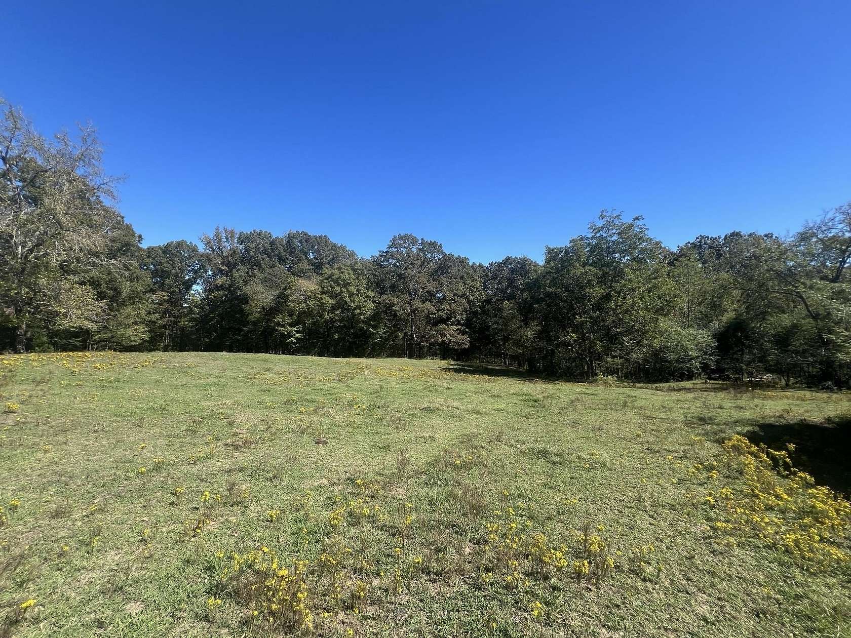 31 Acres of Land for Sale in Somerville, Tennessee