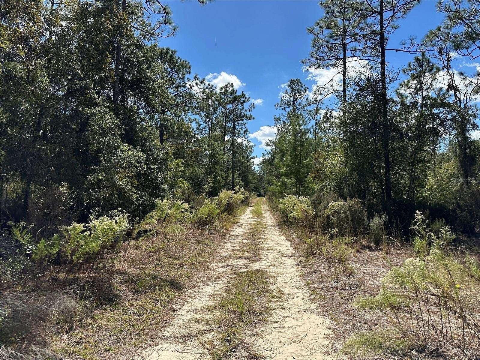 0.31 Acres of Residential Land for Sale in Williston, Florida
