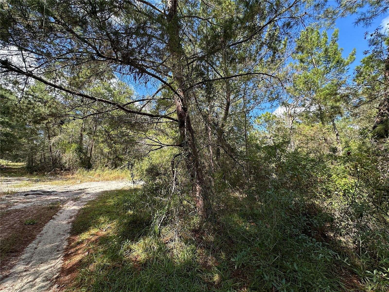 0.62 Acres of Residential Land for Sale in Williston, Florida
