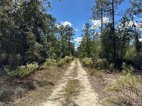 0.31 Acres of Residential Land for Sale in Williston, Florida