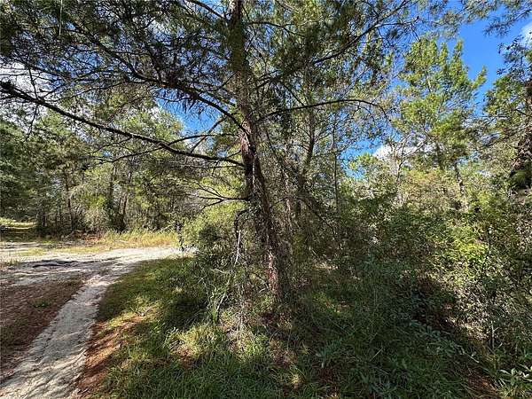 0.62 Acres of Residential Land for Sale in Williston, Florida