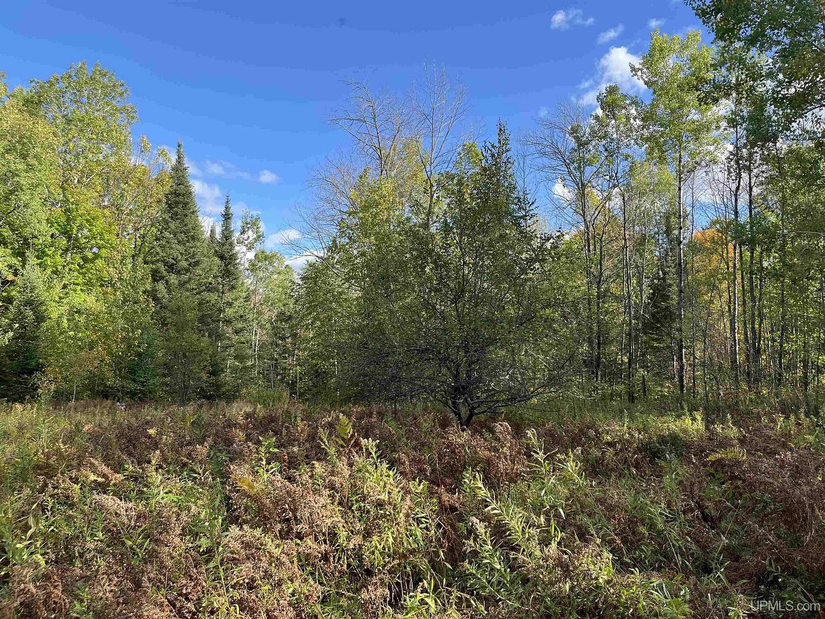 5.3 Acres of Land for Sale in Tipler Town, Wisconsin