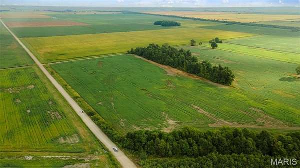 36 Acres of Agricultural Land for Sale in Hayti, Missouri