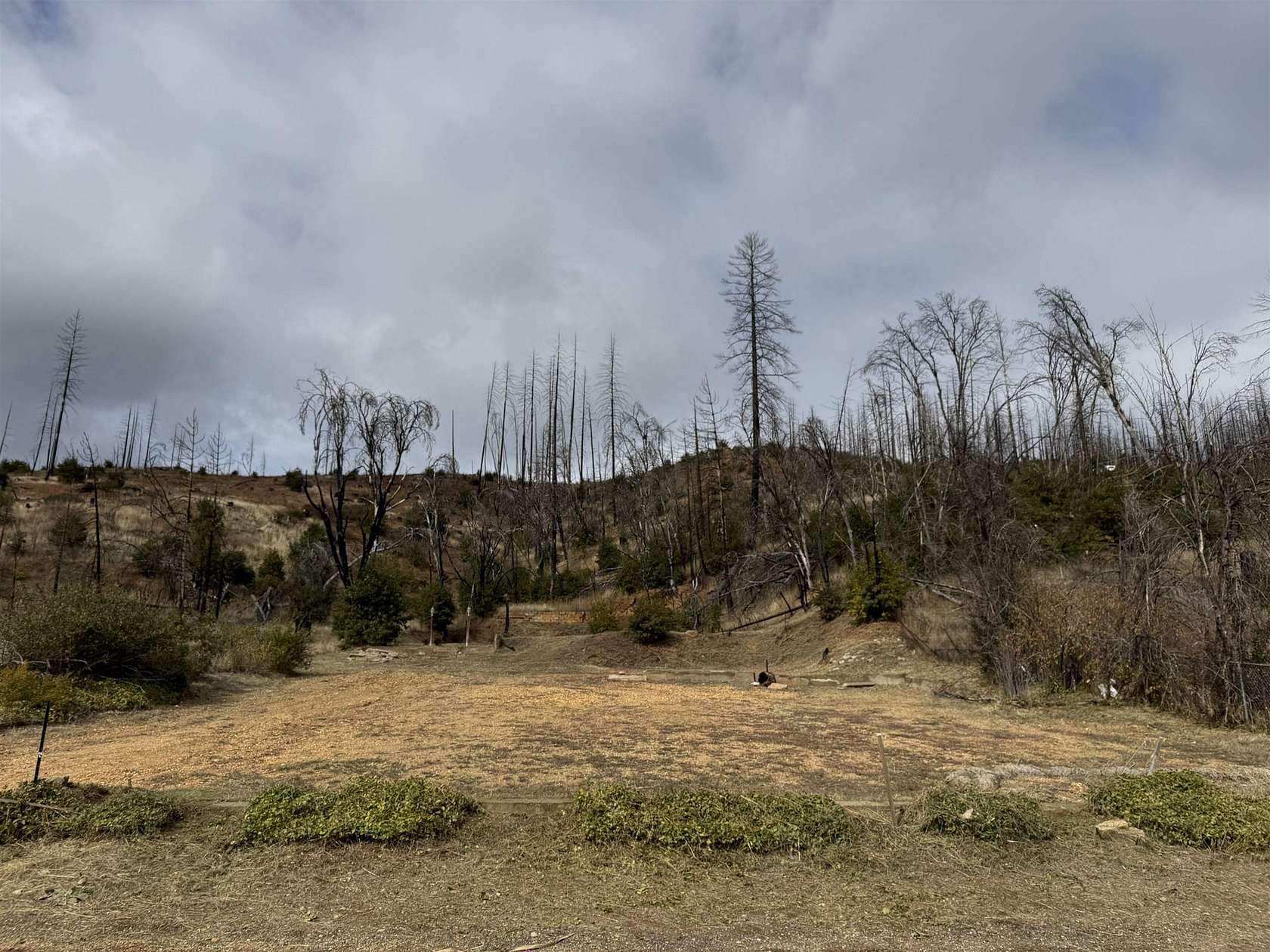 0.34 Acres of Residential Land for Sale in Greenville, California