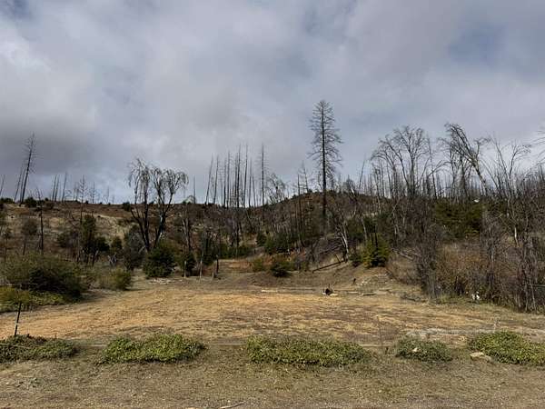 0.34 Acres of Residential Land for Sale in Greenville, California
