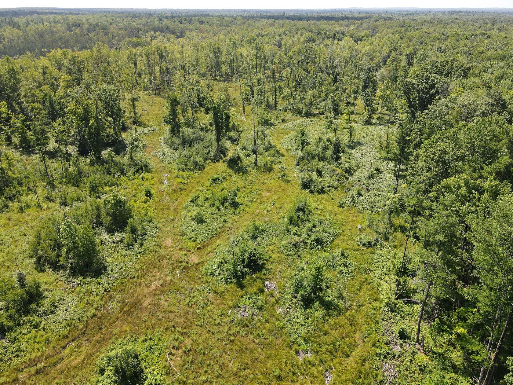 121 Acres of Land for Sale in Big Prairie, Michigan