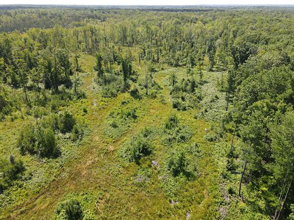 121 Acres of Land for Sale in Big Prairie, Michigan
