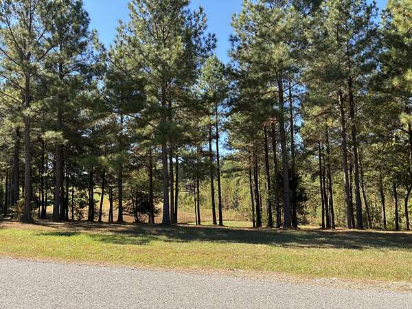 1 Acre of Residential Land for Sale in Jasper, Tennessee
