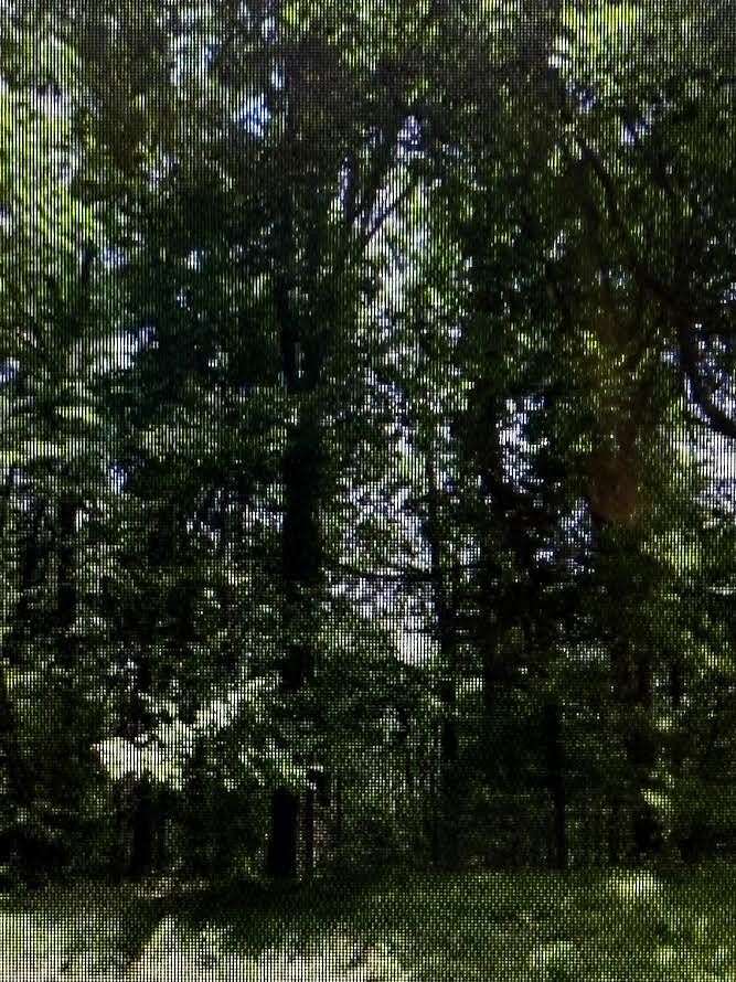 1.76 Acres of Residential Land for Sale in Roanoke, Virginia