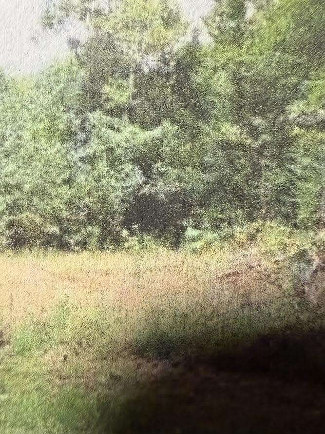 1.76 Acres of Residential Land for Sale in Roanoke, Virginia