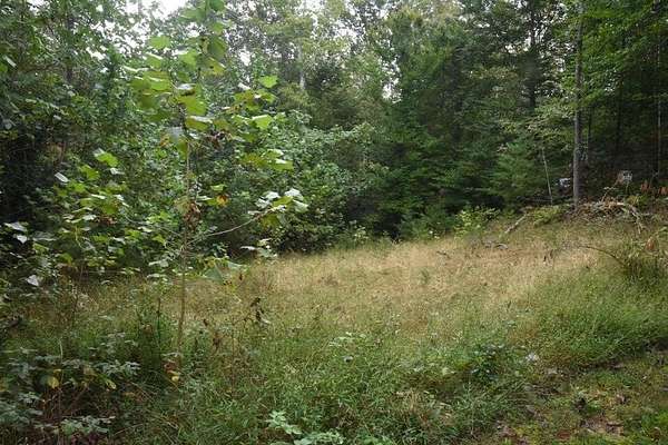 1.76 Acres of Residential Land for Sale in Roanoke, Virginia