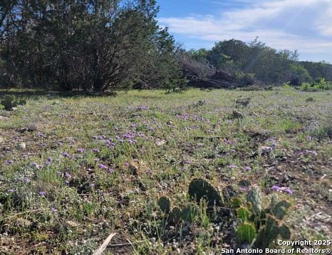 29.3 Acres of Land for Sale in Rocksprings, Texas