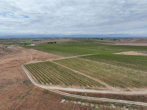 664 Acres of Agricultural Land for Sale in Zillah, Washington