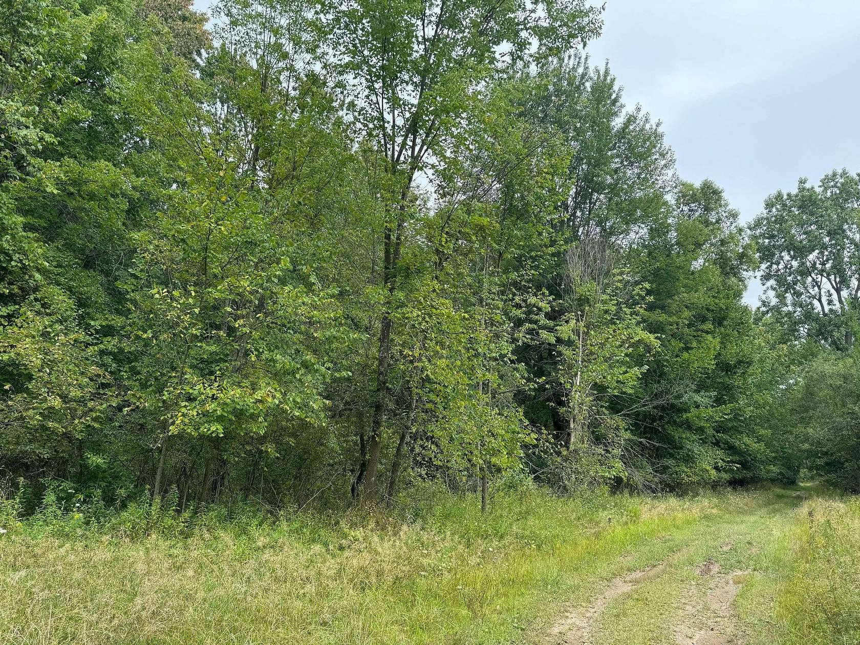 4.36 Acres of Land for Sale in Evart, Michigan